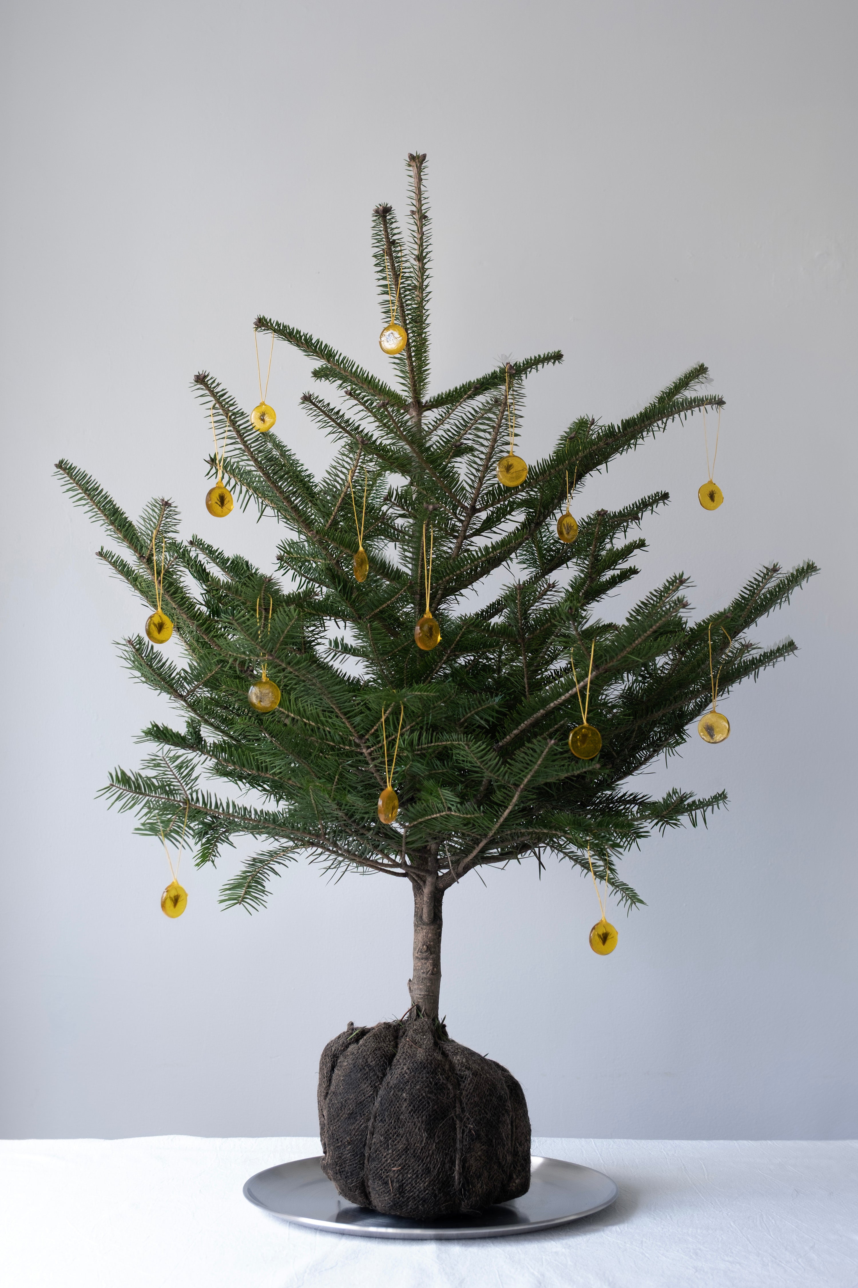 キャンディオーナメント